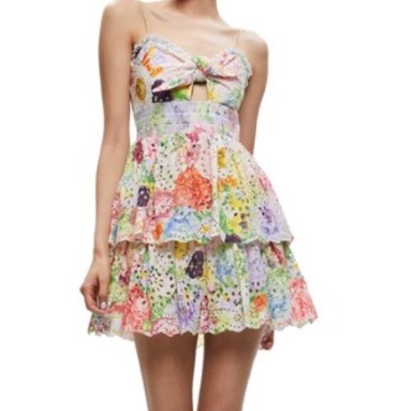 Alice + Olivia Fina Tie Front Smocked Waist  Ruffle Mini Dress - Picture 1 of 8